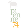 Pienne 74