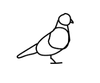 PIGEON CAFÉ