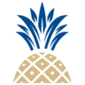 Pineapple Porch Boutique