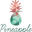 Pineapple Studio & Shop