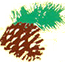 Pine Cone Resort