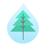 Pine Fresh Carpet Cleaning