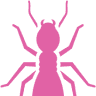 Pink Termite and Pest Experts