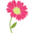 Pink Daisy Properties