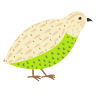 Pistachos la Codorniz