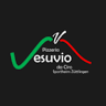 Pizzeria VESUVIO da Ciro
