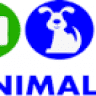 Clínica Veterinária 24h em Taubaté - Plantão Animal