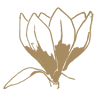 Plant Design