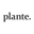Plante. plant shop