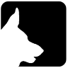 VCC Benissa