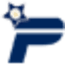 Platinum Automotive Group LLC