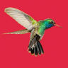 Plaza Colibri