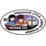Precious Little Lights Academy