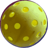 Spring Lake Regional Park - Pickleball Courts