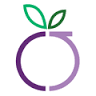 Plum - A Lifestyle Boutique