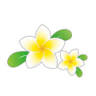 Plumeria Rentaka Okinawa Mini Gaisha Car Rental