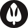The Pentecostals of Alexandria