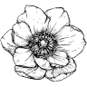 POGA: Cursos de Floristería