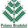 Restaurant Poiana Bradului