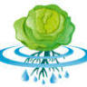Ponics Produce