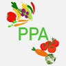 Pontcanna Permanent Allotments