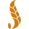 ScEE Viljandi kauplus