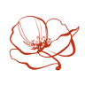 Poppy Concept
