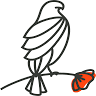Poppy & Hawk