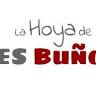 IES 