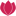 Pousada Rosa