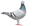 Power of Faith Pet Shop, LLC