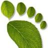 Proactive Podiatry Practices
