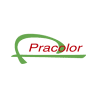 Pracolor s.r.o.