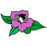 Prairie Rose Veterinary Services