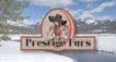 Prestige Furs