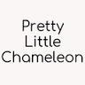 Pretty Little Chameleon- Color and Blonding Specialist