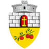 Primăria Armeniş
