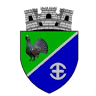 Primăria Avrig