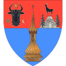 Primăria Boiu Mare