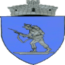 Primăria Dumbrăvești