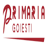 Primăria Goiești