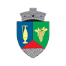 Primăria Comunei Pietroasele
