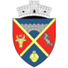 Primăria Poduri