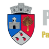 Primăria Slimnic