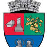 Primăria Treznea