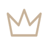Prime Developer 