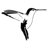 Private Costa Rica Tours