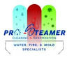Pro Steamer Cleaning & Restoration