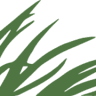 Pro Care Landscape Services