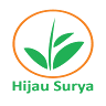 Hijau Surya Jual Bibit Pisang Kultur Jaringan